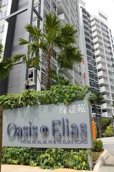 Oasis @ Elias (D18), Condominium #557091101